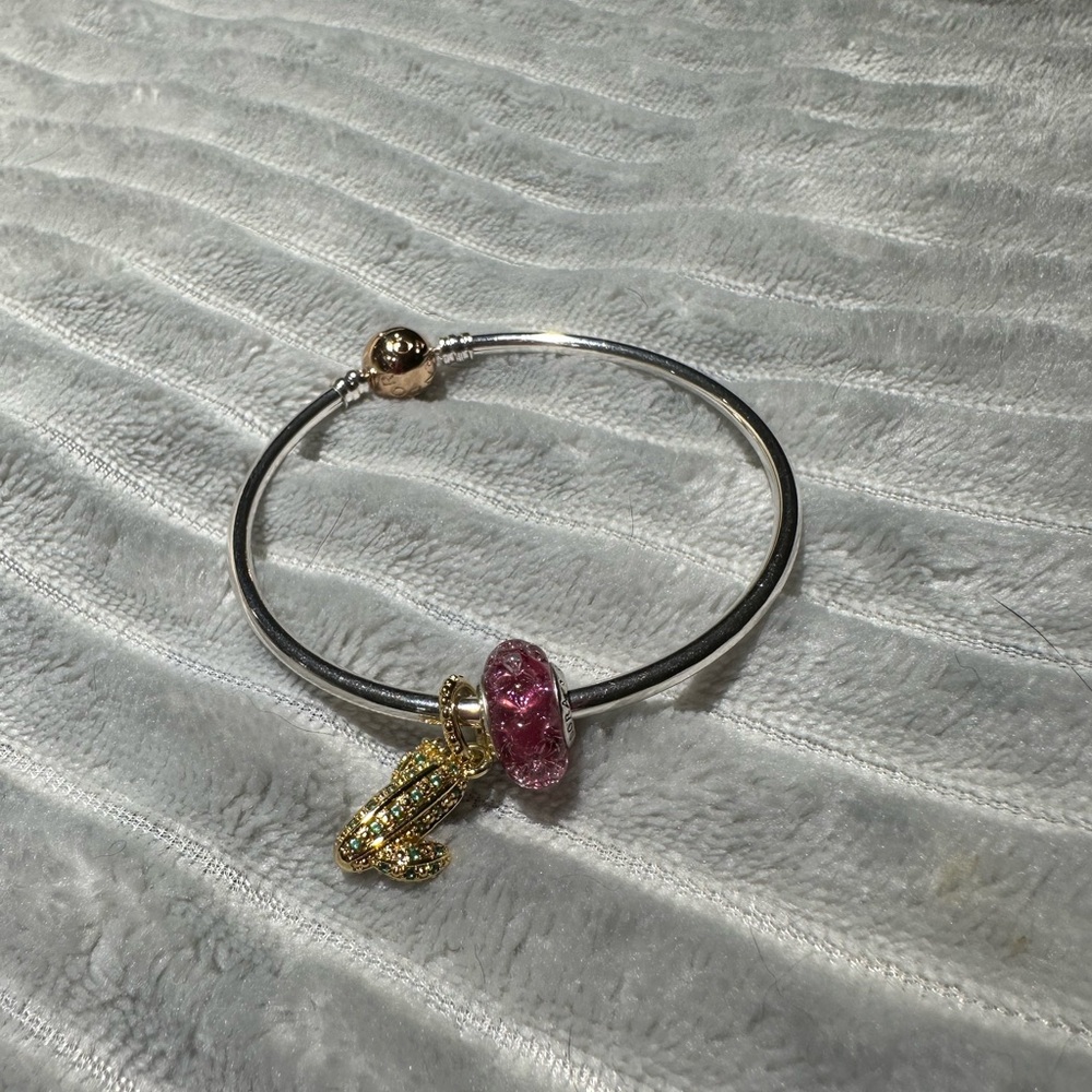 Pandora bracelet and 2charms.  NEW/unused Silver and Gold Charm Bracelet